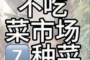 开云全站app登录官网入口网址截图0